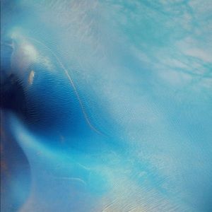 Meet your Posher, Luis